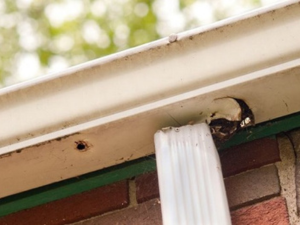 Knoxville-Roofer-Inspecting-Home-Gutters