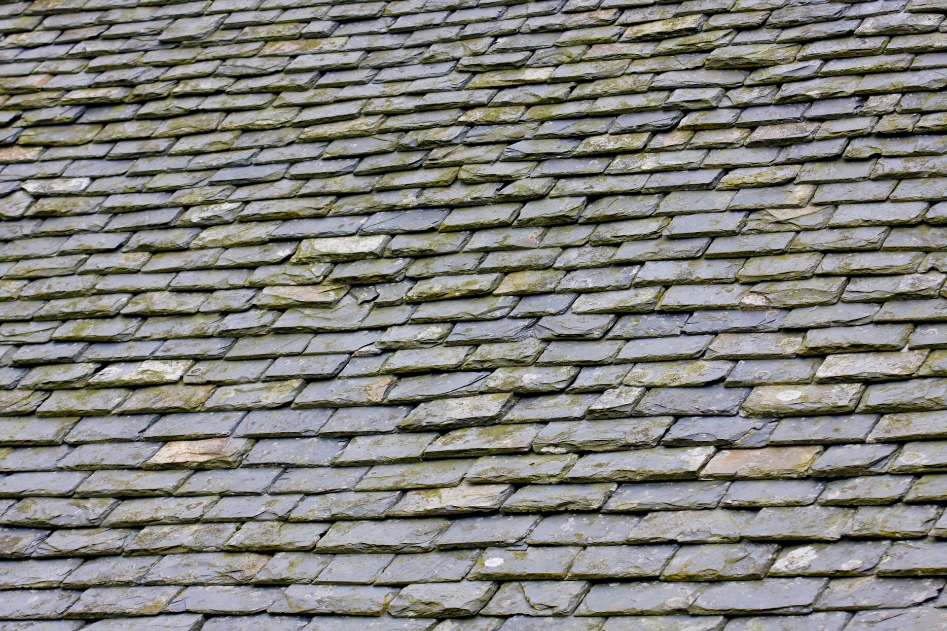 Roof Restoration Knoxville